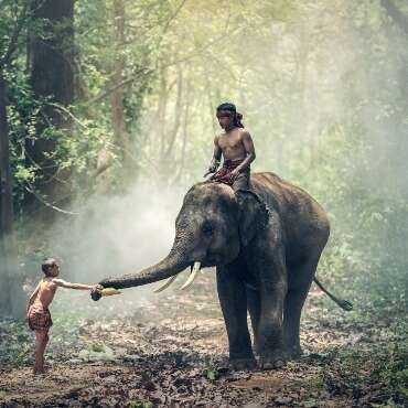 A boy riding an Elephant in India